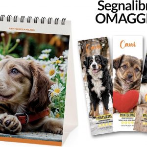 Calendario da tavolo personalizzabile con Foto Ref11